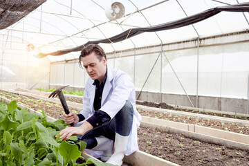 Botanist scientist man in white lab coat working on experimental plant plots, male biological...
