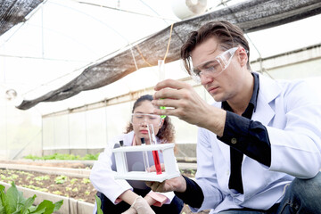 Botanist scientist woman and man in white lab coat work together on experimental plant plots,...