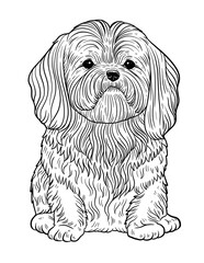 Shih Tzu dog line art coloring page tattoo 