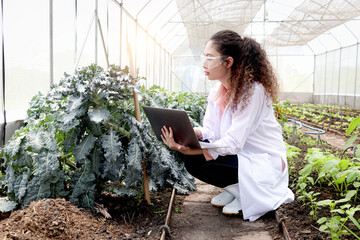 Beautiful Asian botanist scientist woman in lab coat holds laptop computer and explores plant,...