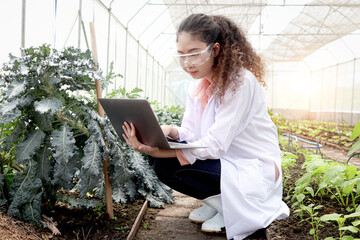 Beautiful Asian botanist scientist woman in lab coat holds laptop computer and explores plant,...