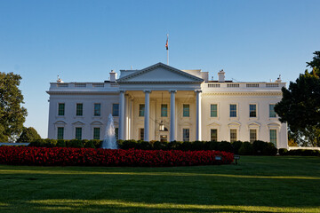 Naklejka premium the palace of the president