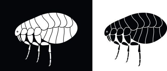 Flea logo. Isolated flea on white background