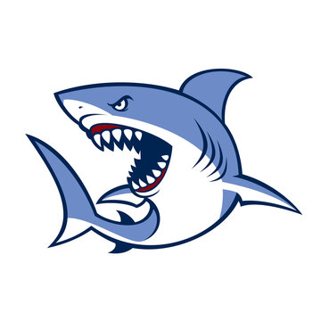 shark mascot logo vector art illustration design