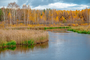 Нижний Академ