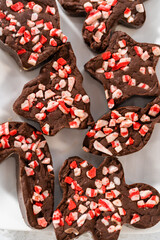 Christmas cookie-cutter peppermint fudge
