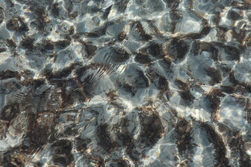 Ile de Porquerolles, Var, France