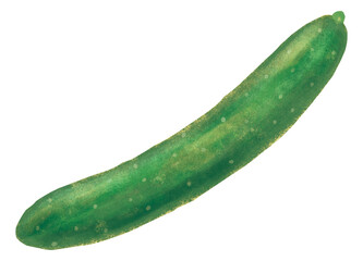 キュウリ 野菜