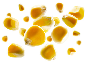 Corn grains fly and levitate in space. Volumetric light from behind. Isolated on white