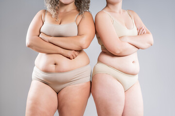 Tummy tuck, two fat women with flabby bellies on gray background, plastic surgery and body positive concept - obrazy, fototapety, plakaty