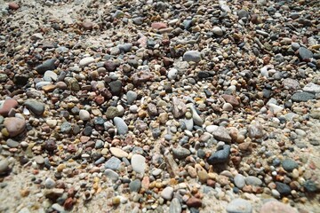 Pebbles on the shore of the Baltic Sea, among which there are pieces of amber.   
