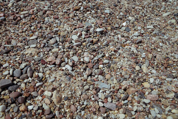 Pebbles on the shore of the Baltic Sea, among which there are pieces of amber.   