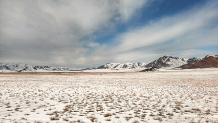 Panorama of the snow-covered steppe with mountains on the horizon. Mountain pasture covered with...
