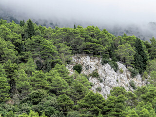 Fototapeta na wymiar mountain landscape with rain and fog