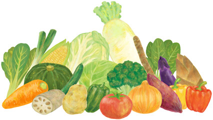野菜 集合