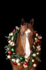 Christmas Horse