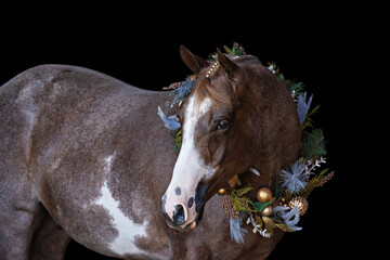 Christmas Horse