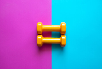Two dumbbells for sport on the pink blue background.