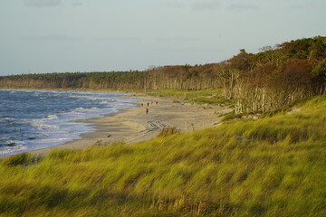 Landscape on the Baltic Sea near Zingst, Germany.