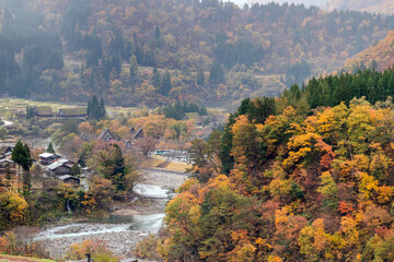 Shirakawa-go (ogimachi village) an autumn rains in Gifu Prefecture is known as a village of Gassho style house. Throughout November, begin to colors of autumn, Japan.