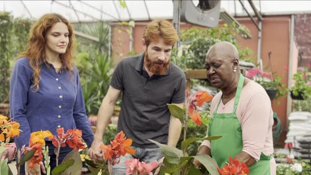 Florist's Suggestions, Black Expert Florist Introduces and Recommends Flowers to Redheaded Couple in Flower Shop