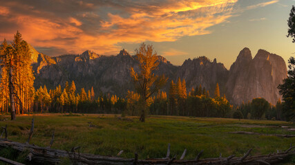 Meadow in Yosemite Valley sunset lights the tree tops natures best view