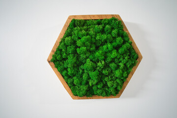 The stabilized moss on the wall forms a beautiful and natural design element, adding a touch of...