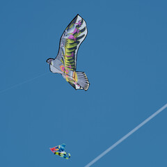 An outdoor kite flying festival. Kites are launched into the blue sky