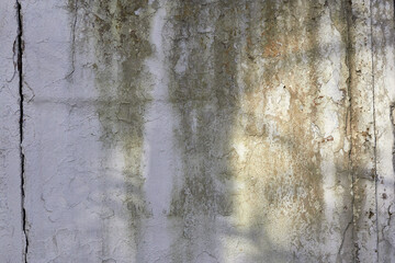 Old concrete wall with shadow of tree on it. Abstract background.