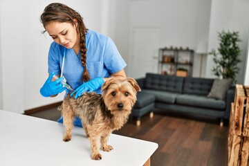 Young beautiful hispanic woman veterinarian vaccinating dog at home