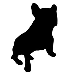 silhouette of a dog, French bulldog 