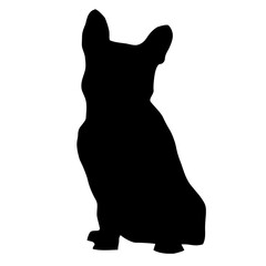 silhouette of a dog, French bulldog 