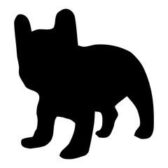silhouette of a dog, French bulldog 