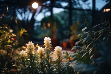 Moon Gardening - Night shot of a garden with plants that bloom under moonlight - Lunar horticulture - AI Generated