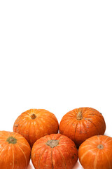 Fresh autumn orange pumpkins isolated on white background. Сoncept Halloween celebration background, fall harvest, minimalism holiday decoration template. Top view, flat lay, copy space