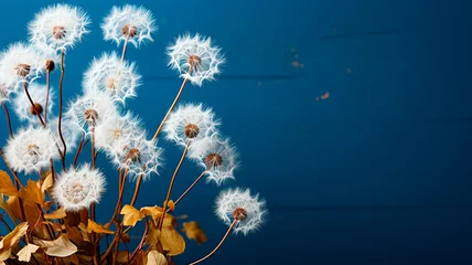Fotobehang dandelion in blue sky. © ARAMYAN
