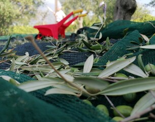 The red toy © Donatella