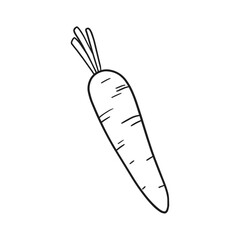 Delicious Food Carrot