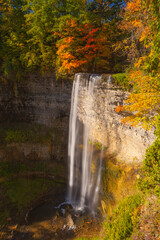Waterfall in autumn forest 1