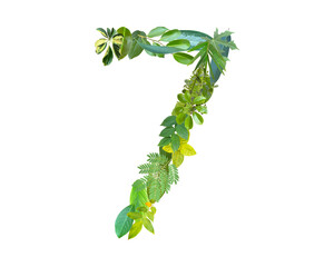 The shape of the number 7 is made of various kinds of leaves isolated on transparent background. suitable for birthday, anniversary and memorial day templates