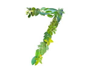 The shape of the number 7 is made of various kinds of leaves isolated on transparent background. suitable for birthday, anniversary and memorial day templates