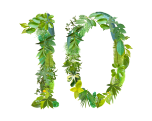 The shape of the number 10 is made of various kinds of leaves isolated on transparent background. suitable for birthday, anniversary and memorial day templates