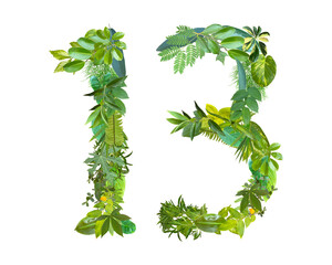 The shape of the number 13 is made of various kinds of leaves isolated on transparent background....