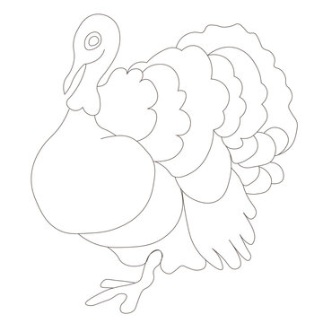 Turkey outline black and white image

Sketch, coloring page for Thanksgiving
