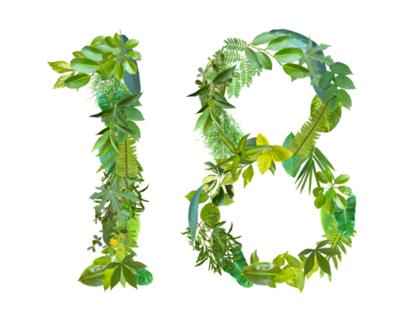 The shape of the number 18 is made of various kinds of leaves isolated on transparent background. suitable for birthday, anniversary and memorial day templates