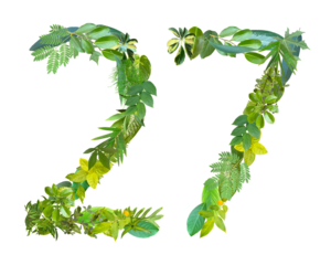 The shape of the number 27 is made of various kinds of leaves isolated on transparent background. suitable for birthday, anniversary and memorial day templates