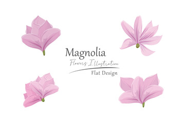 magnolia flower illustration. flat design.