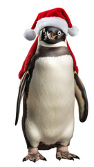 Fototapeta premium Penguin in a Christmas Santa hat isolated on the transparent background PNG.