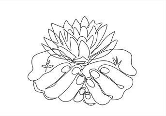 Continuous one line drawing of  hands holding Lotus flower. Vector illustration
