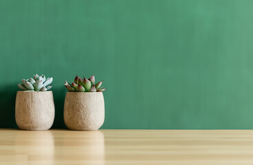 green plant on the wall